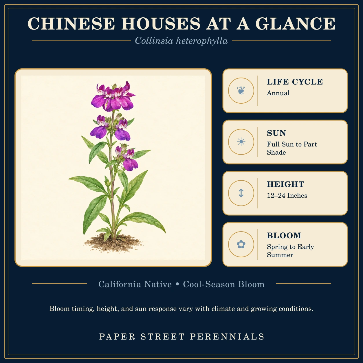 Chinese Houses: plant facts and botanical illustration