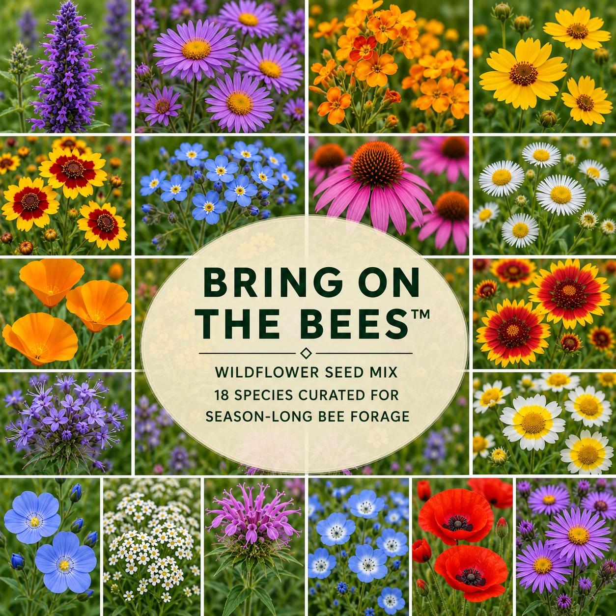 Bring On the Bees™ seeds