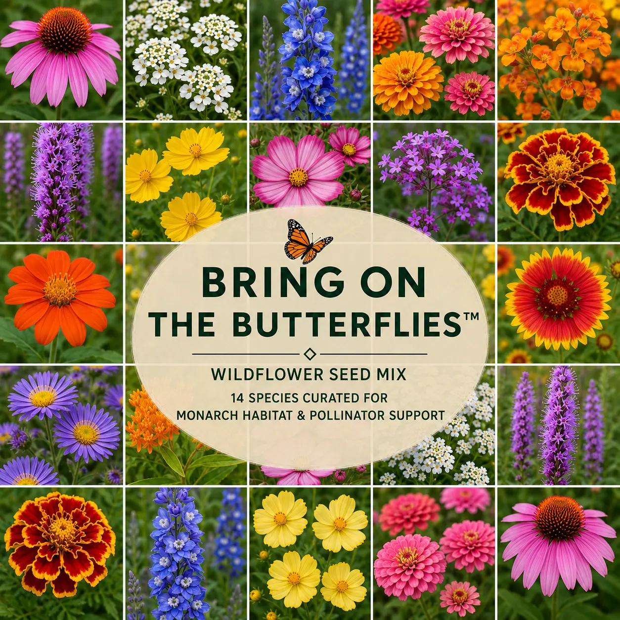 Bring On the Butterflies™ product image