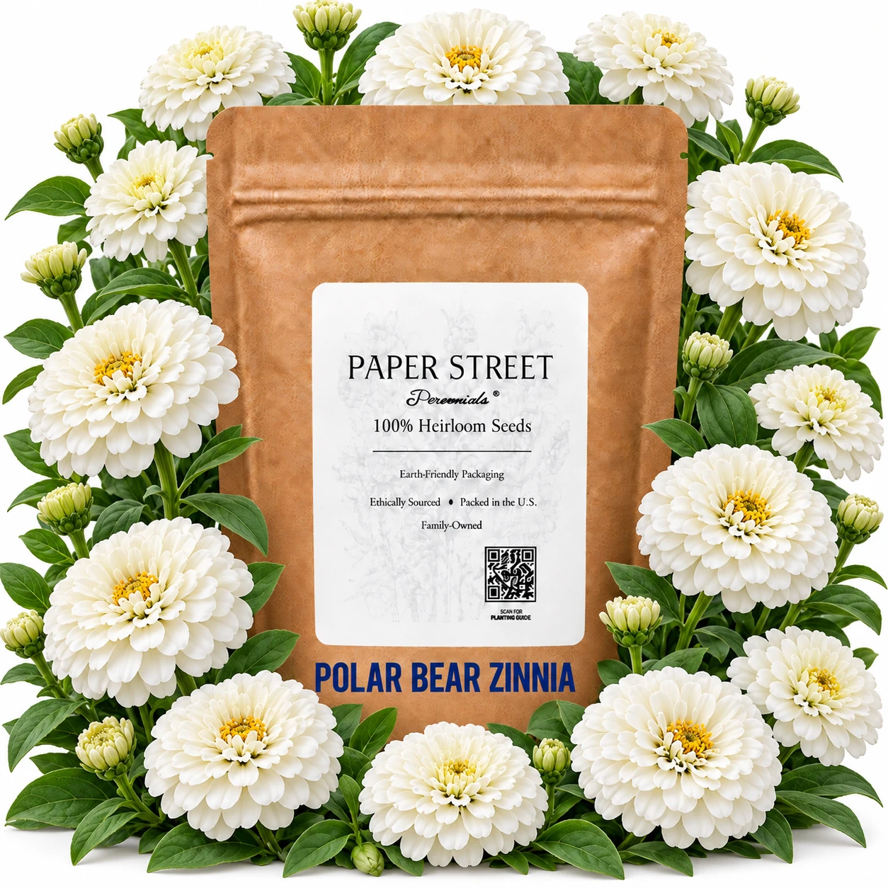 Polar Bear Zinnia product image