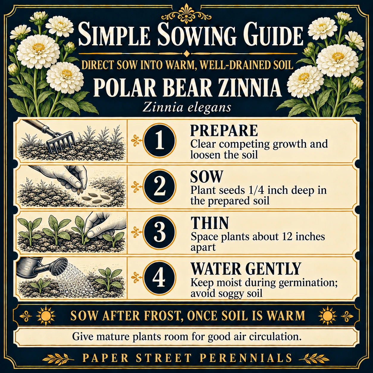 Polar Bear Zinnia: Sowing guide