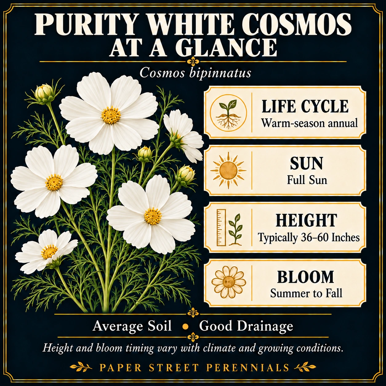 Purity White Cosmos: Garden character