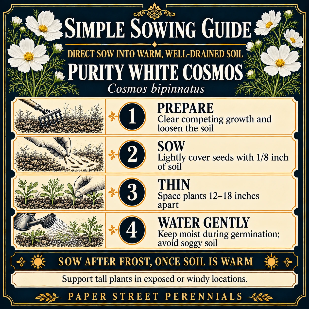 Purity White Cosmos: Sowing guide