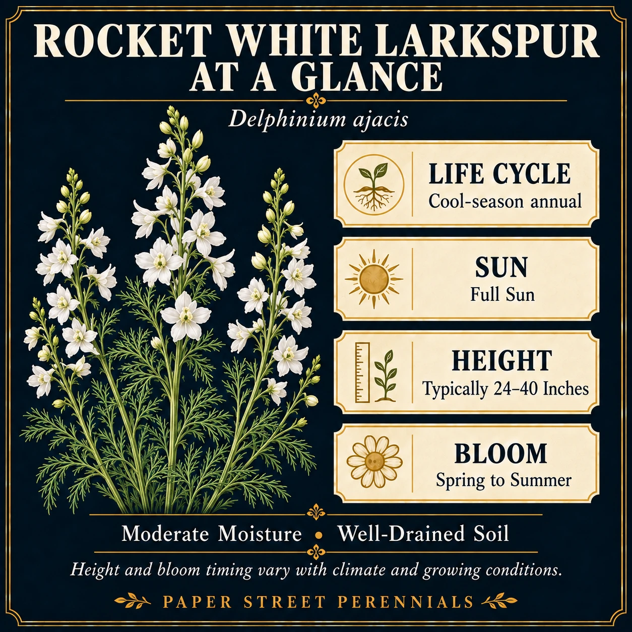 Rocket White Larkspur: Garden character