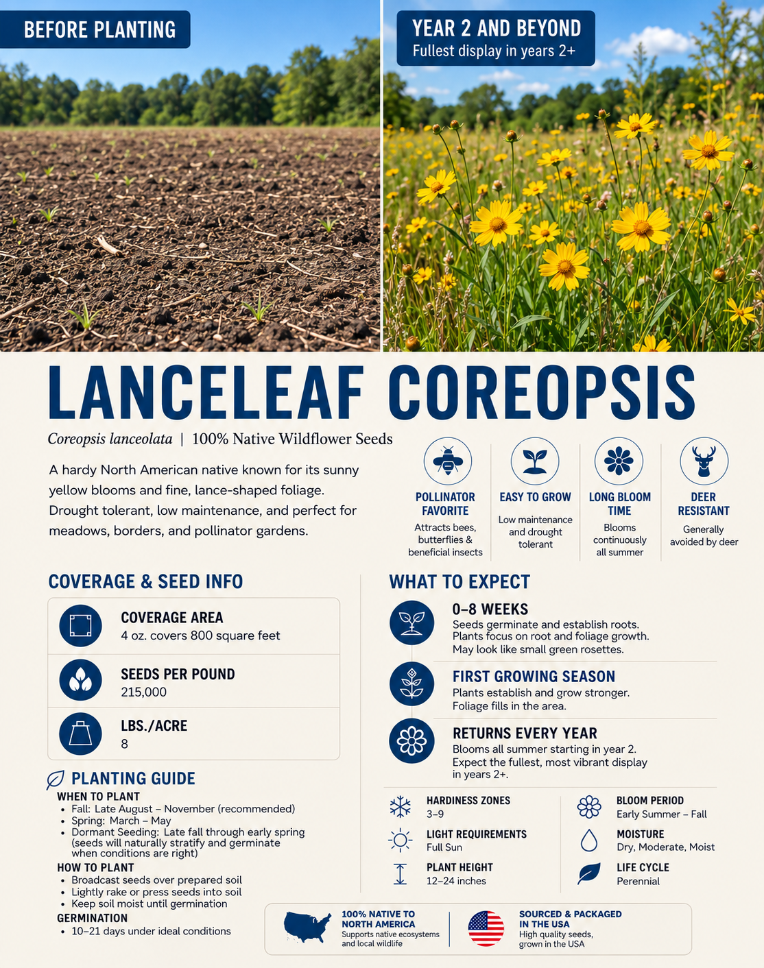 Lanceleaf Coreopsis planting and species guide