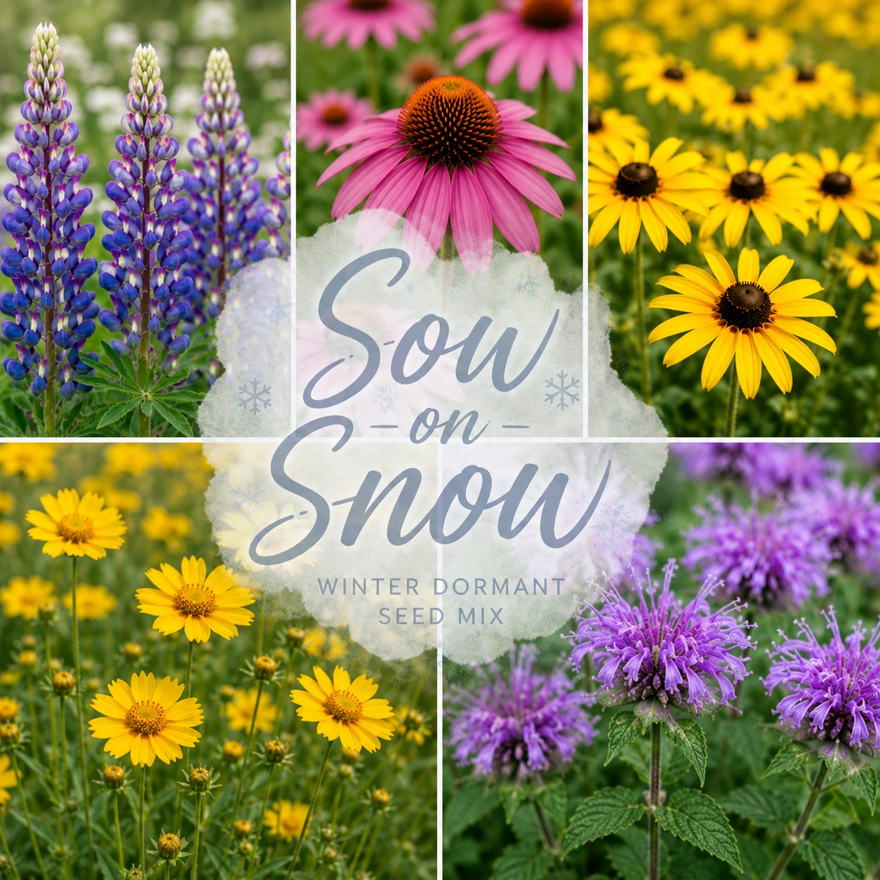 Sow on Snow™ seeds