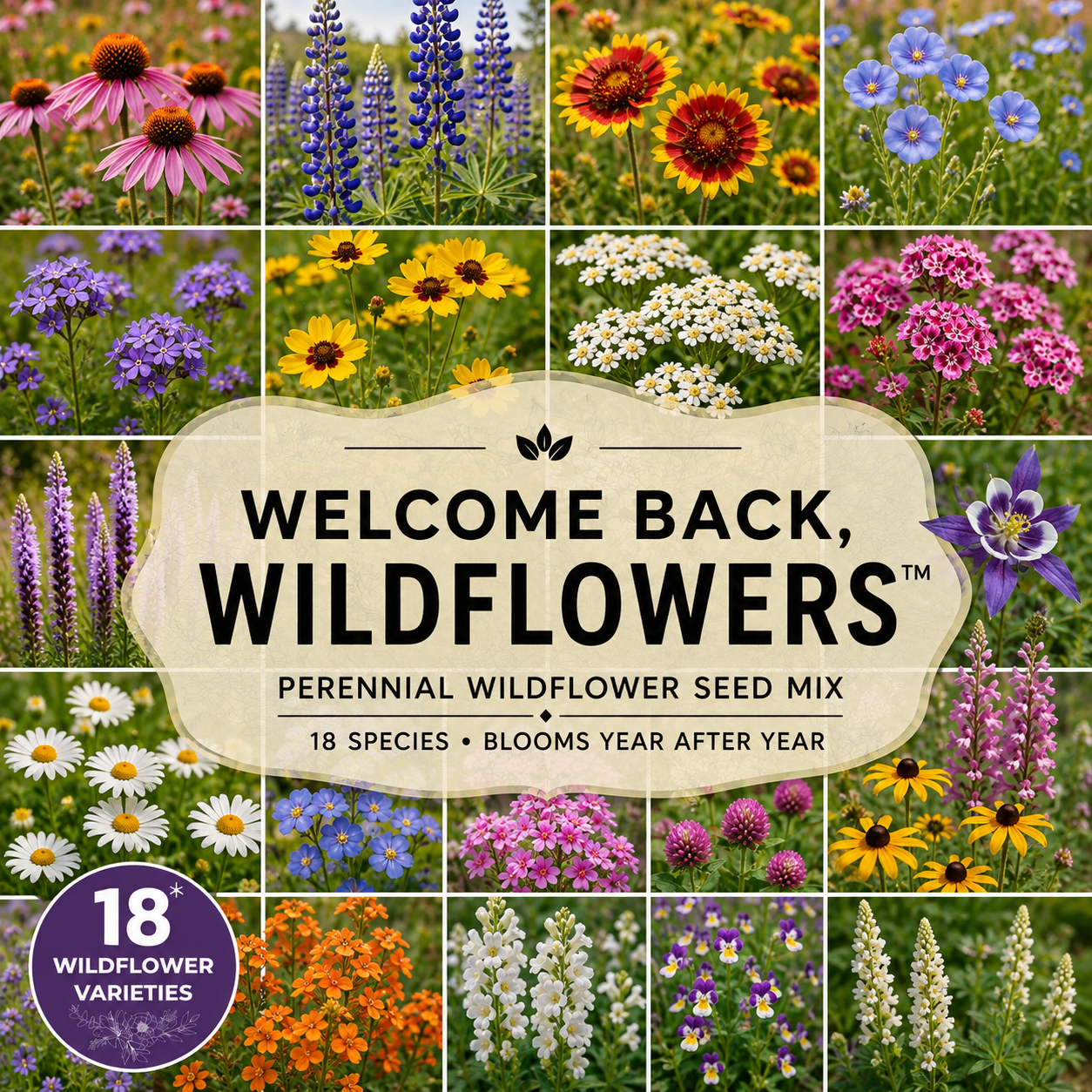 Welcome Back, Wildflowers™ seeds