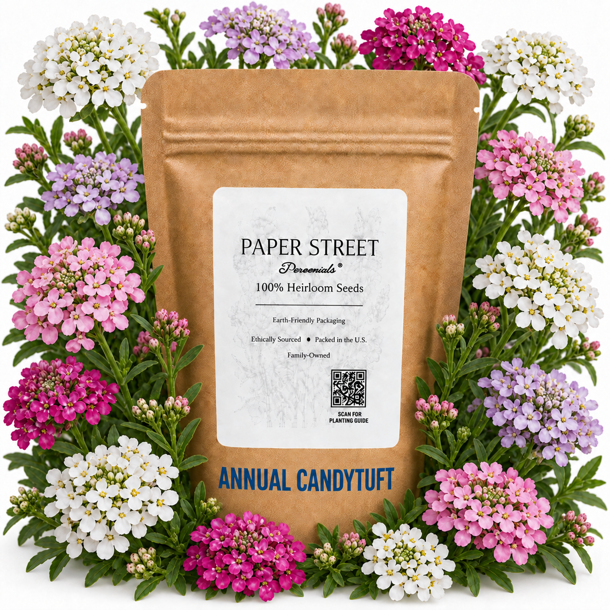 Annual Candytuft Paper Street seed bag