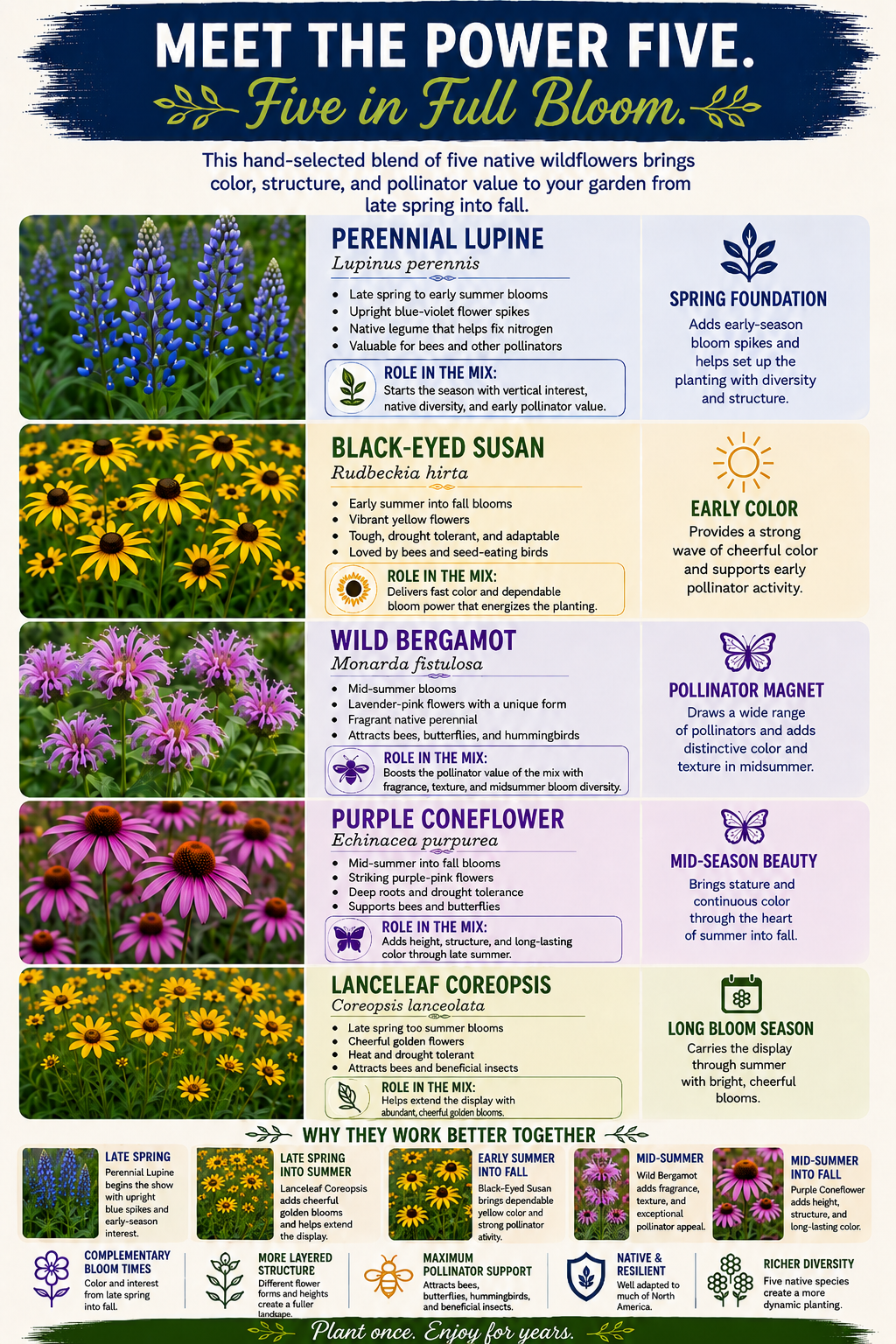 Power Five Pollinators species guide
