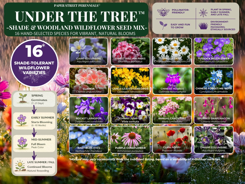 Under the Tree shade-tolerant species guide