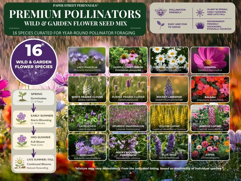 Original Premium Pollinators™ BBMX product image